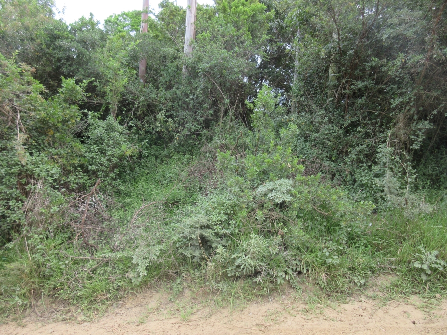 0 Bedroom Property for Sale in Bathurst Eastern Cape